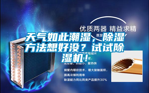 天氣如此潮濕，除濕方法想好沒？試試除濕機！