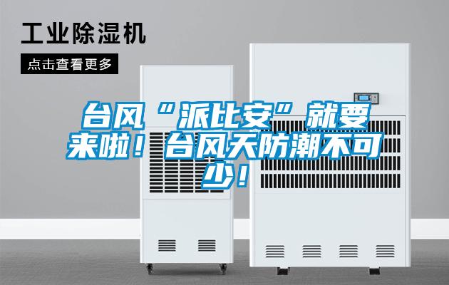 臺風“派比安”就要來啦！臺風天防潮不可少！
