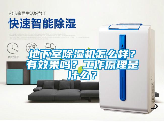 地下室除濕機怎么樣？有效果嗎？工作原理是什么？