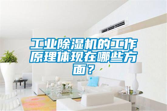 工業除濕機的工作原理體現在哪些方面？