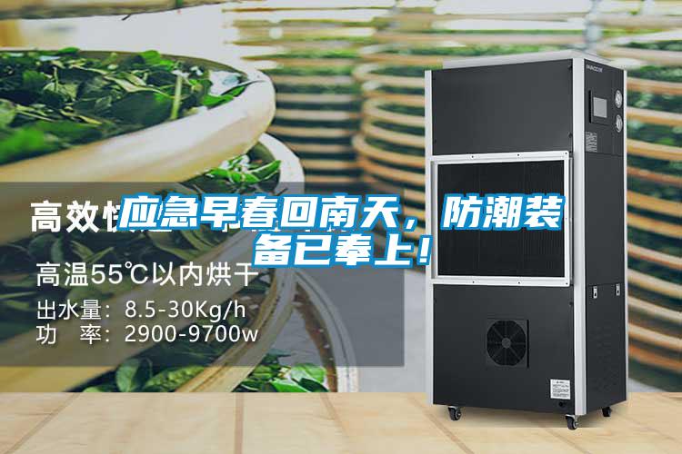 應急早春回南天，防潮裝備已奉上！