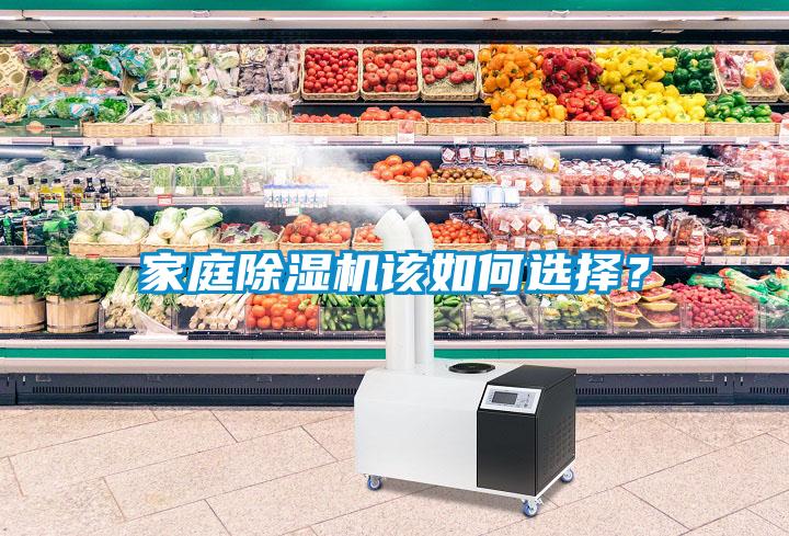 家庭除濕機該如何選擇？