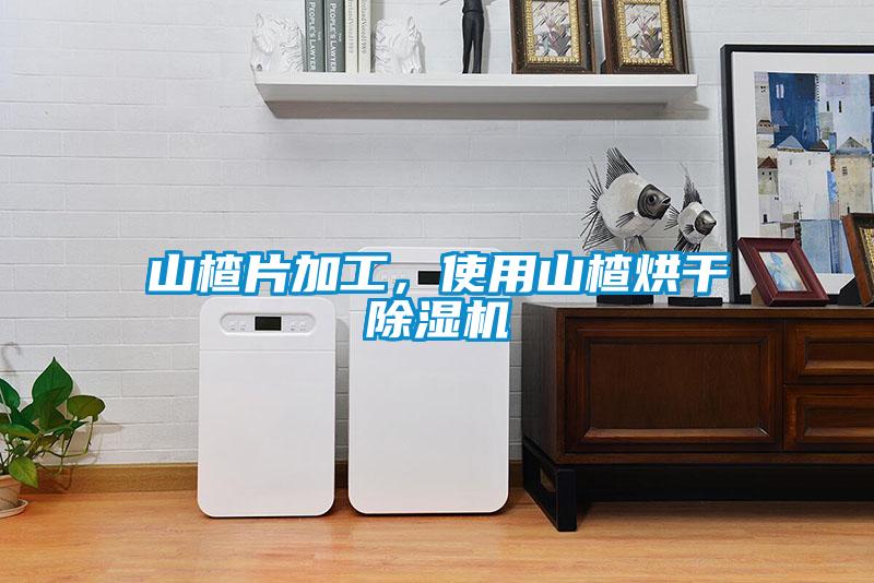 山楂片加工，使用山楂烘干除濕機