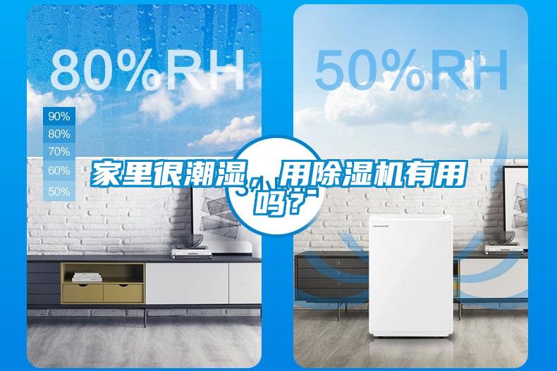 家里很潮濕，用除濕機有用嗎？