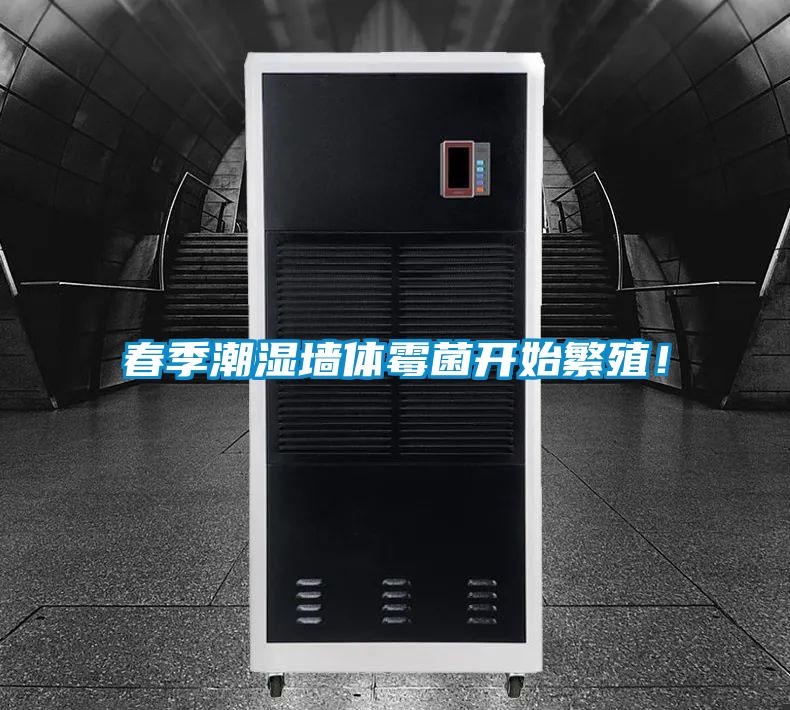春季潮濕墻體霉菌開始繁殖！