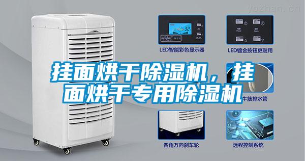 掛面烘干除濕機，掛面烘干專用除濕機