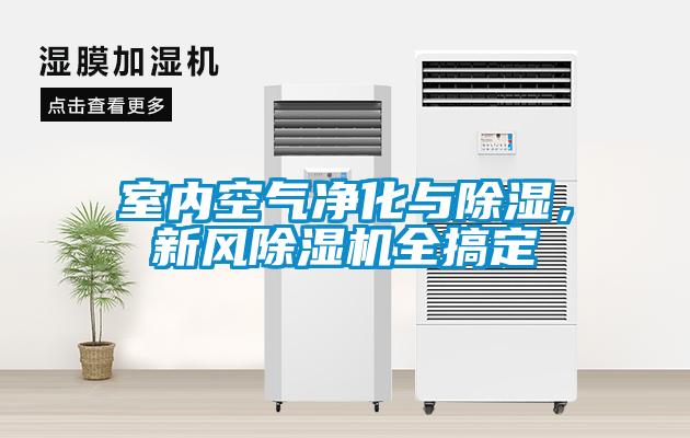 室內空氣凈化與除濕，新風除濕機全搞定