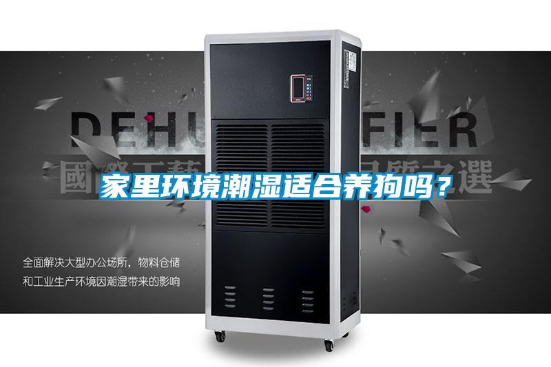 家里環境潮濕適合養狗嗎？