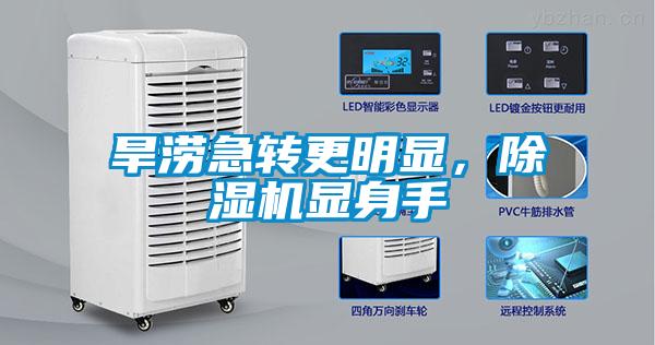 旱澇急轉更明顯，除濕機顯身手