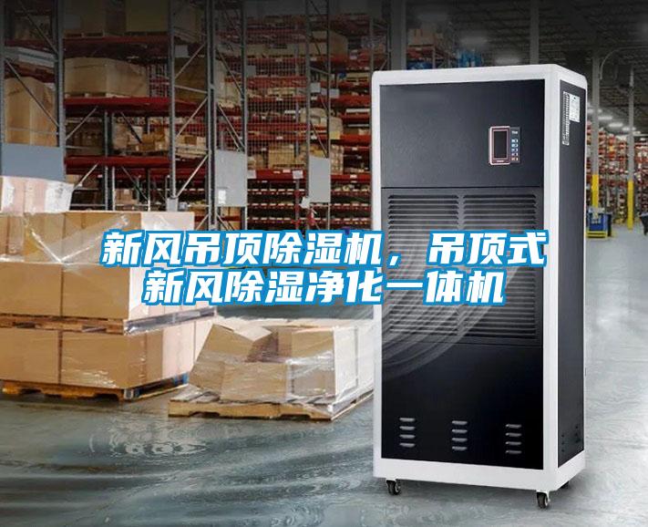 新風吊頂除濕機，吊頂式新風除濕凈化一體機