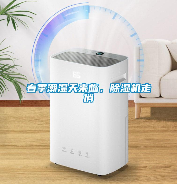 春季潮濕天來臨，除濕機走俏