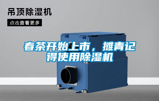 春茶開始上市，攤青記得使用除濕機