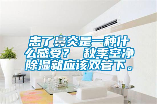 患了鼻炎是一種什么感受？ 秋季空凈除濕就應該雙管下。