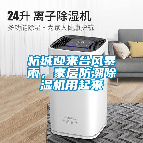 杭城迎來臺風暴雨，家居防潮除濕機用起來