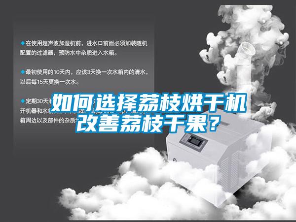 如何選擇荔枝烘干機改善荔枝干果？