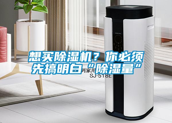 想買除濕機？你必須先搞明白“除濕量”