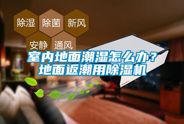 室內地面潮濕怎么辦？地面返潮用除濕機