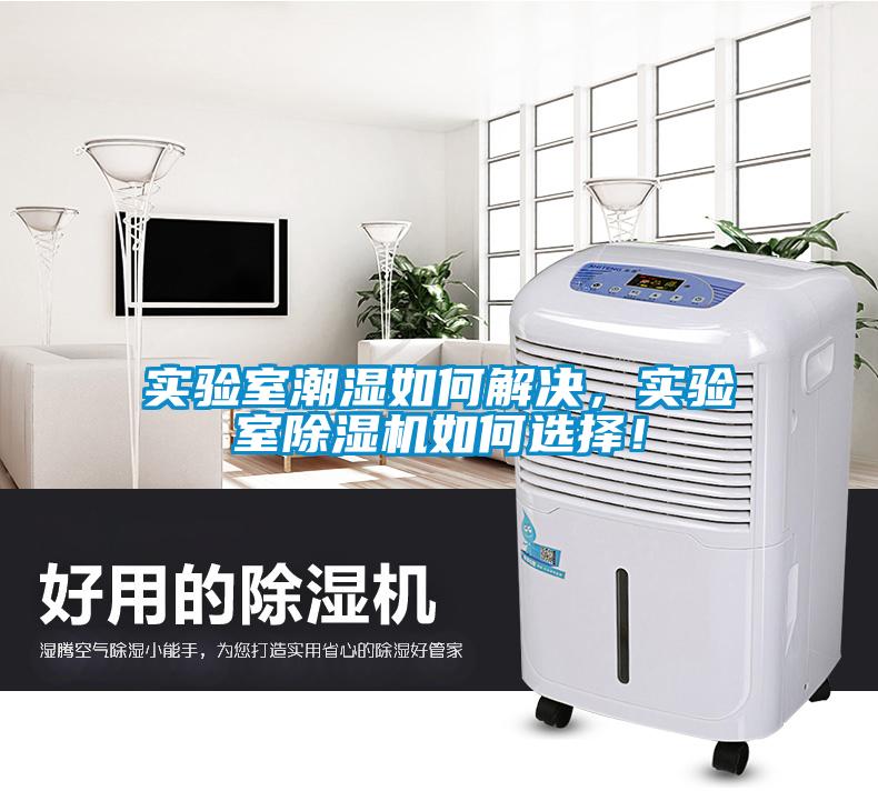 實驗室潮濕如何解決，實驗室除濕機如何選擇！