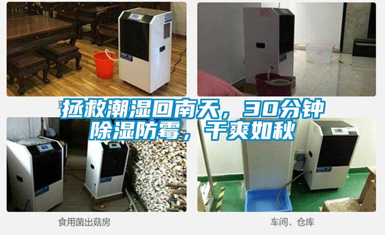 拯救潮濕回南天，30分鐘除濕防霉，干爽如秋