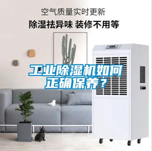 工業除濕機如何正確保養？