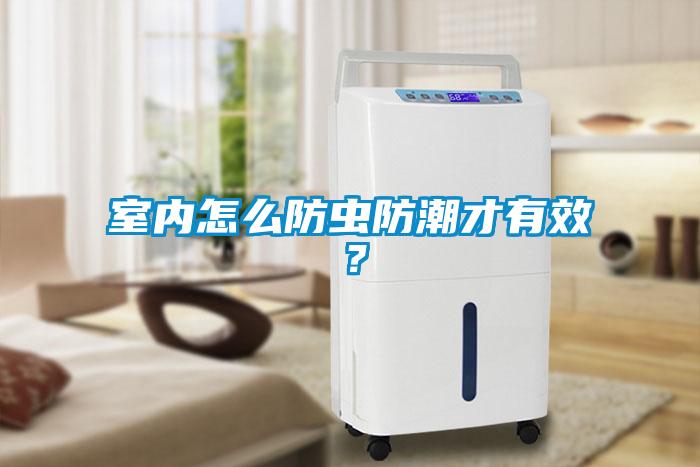 室內怎么防蟲防潮才有效？