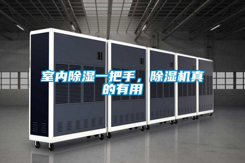 室內除濕一把手，除濕機真的有用