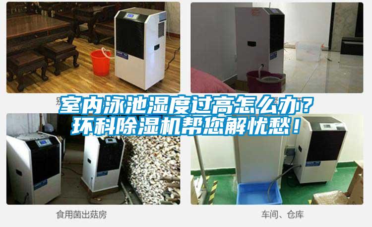 室內泳池濕度過高怎么辦？環科除濕機幫您解憂愁！