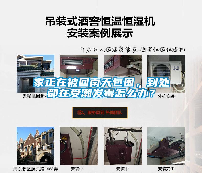 家正在被回南天包圍，到處都在受潮發霉怎么辦？