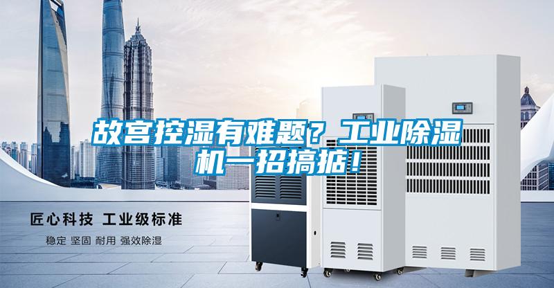 故宮控濕有難題？工業除濕機一招搞掂！