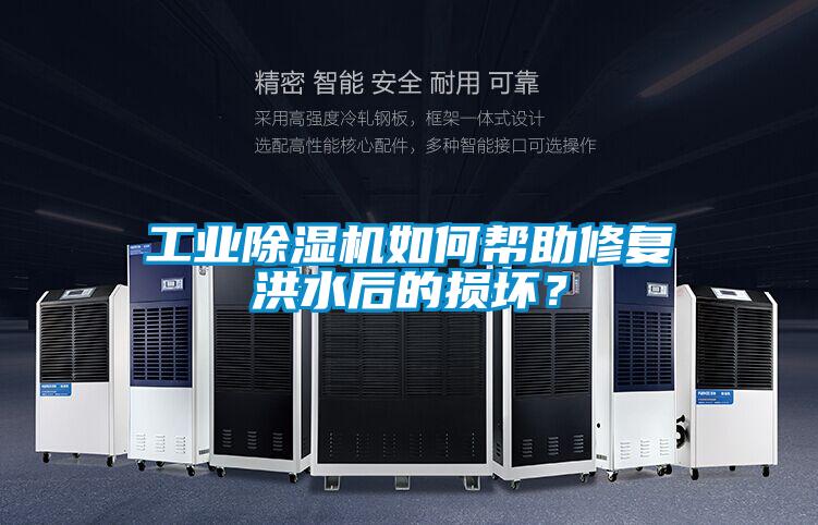 工業除濕機如何幫助修復洪水后的損壞？