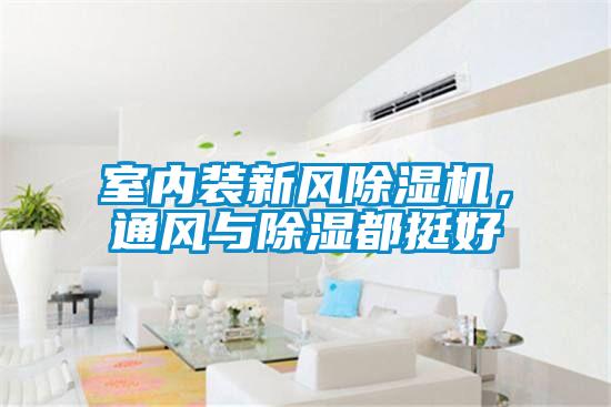室內裝新風除濕機，通風與除濕都挺好