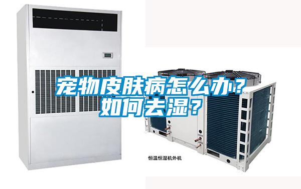 寵物皮膚病怎么辦？如何去濕？