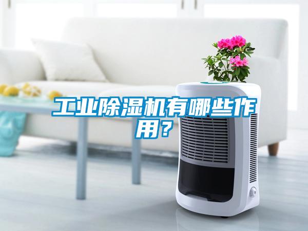 工業除濕機有哪些作用？