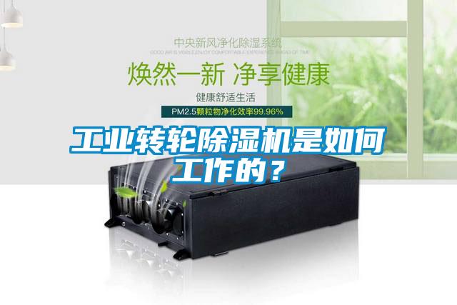 工業轉輪除濕機是如何工作的？