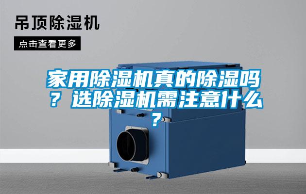 家用除濕機真的除濕嗎？選除濕機需注意什么？