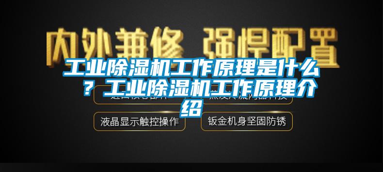 工業除濕機工作原理是什么 ？工業除濕機工作原理介紹