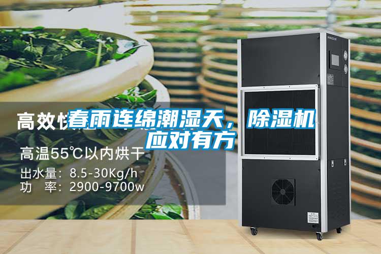春雨連綿潮濕天，除濕機應對有方