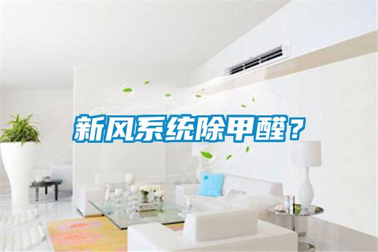 新風系統除甲醛？