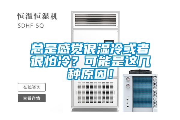 總是感覺很濕冷或者很怕冷？可能是這幾種原因！