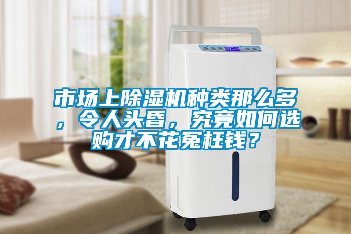 市場上除濕機種類那么多，令人頭昏，究竟如何選購才不花冤枉錢？