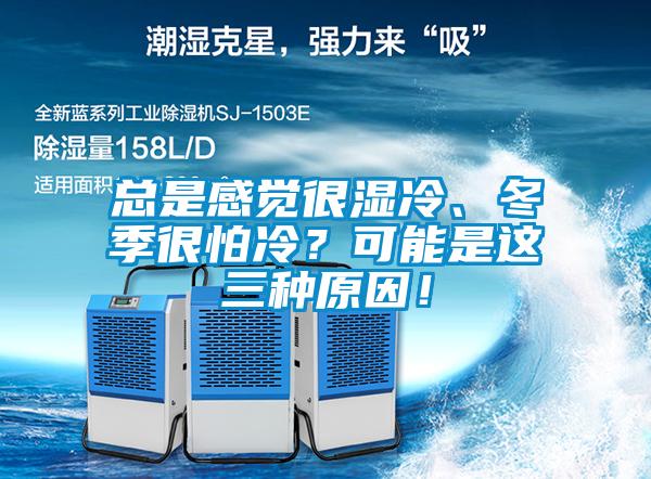 總是感覺很濕冷、冬季很怕冷？可能是這三種原因！