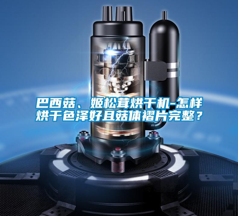 巴西菇、姬松茸烘干機-怎樣烘干色澤好且菇體褶片完整？