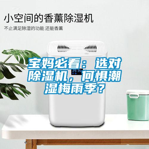 寶媽必看：選對除濕機，何懼潮濕梅雨季？