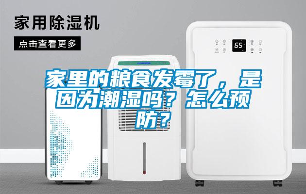 家里的糧食發霉了，是因為潮濕嗎？怎么預防？