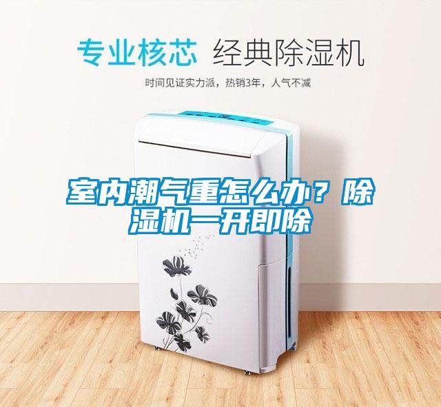 室內潮氣重怎么辦？除濕機一開即除