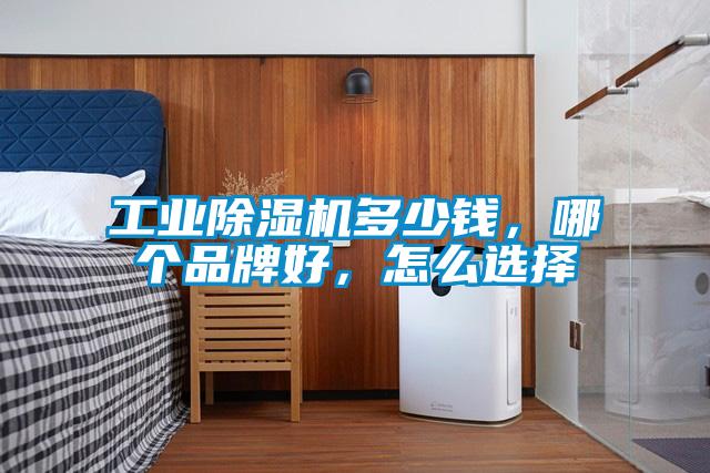工業除濕機多少錢，哪個品牌好，怎么選擇