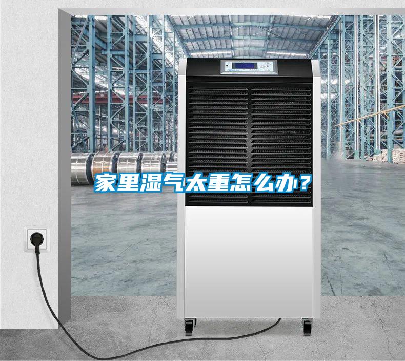 家里濕氣太重怎么辦？