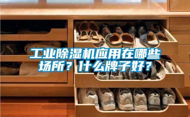 工業除濕機應用在哪些場所？什么牌子好？