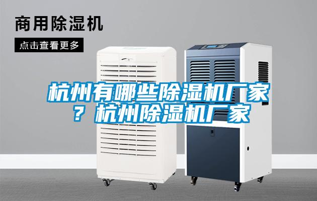 杭州有哪些除濕機廠家？杭州除濕機廠家