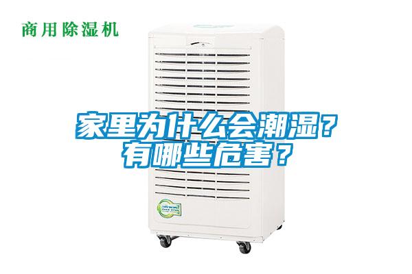 家里為什么會潮濕？有哪些危害？